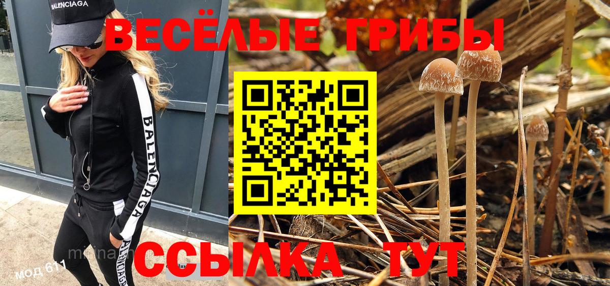 Галлюциногенные грибы Psilocybine cubensis  Вход с VPN  Гусь-Хрустальный 